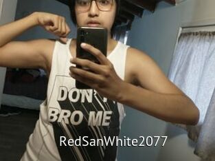 RedSanWhite2077