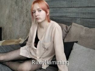 RileyHamming