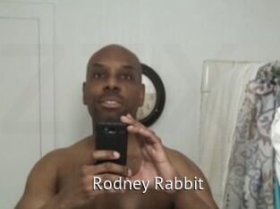 Rodney_Rabbit