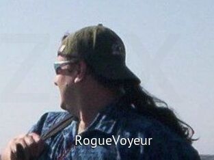 RogueVoyeur
