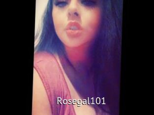 Rosegal101