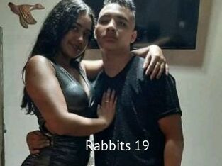 Rabbits_19