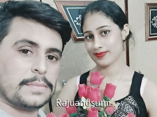 Rajuandsumi
