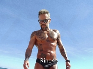 Rino44
