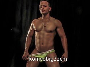 Romeobig22cm