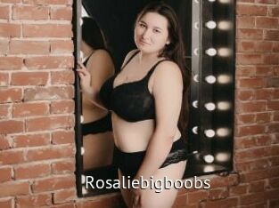 Rosaliebigboobs