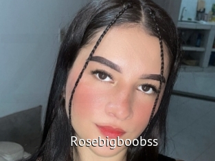 Rosebigboobss