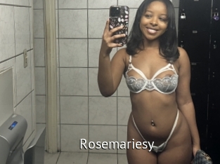 Rosemariesy