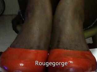 Rougegorge