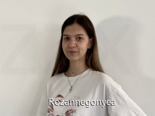 Rozannegonyea