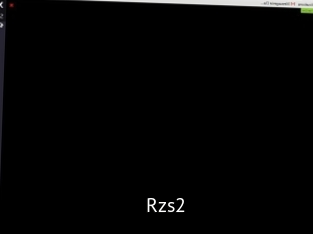 Rzs2