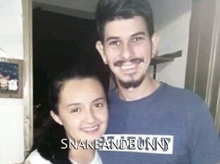 SNAKEANDBUNNY