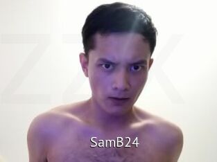 SamB24 Zizi X