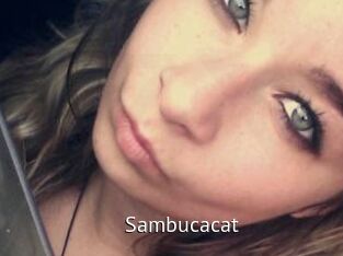 Sambucacat