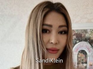 SandiKlein