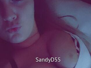 SandyD55