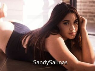 SandySalinas