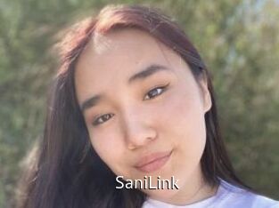 SaniLink