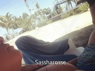 Sassharosse