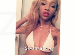 Savannah_Grey