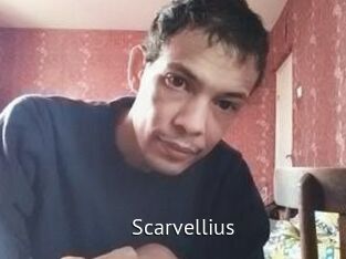 Scarvellius