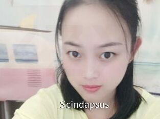 Scindapsus