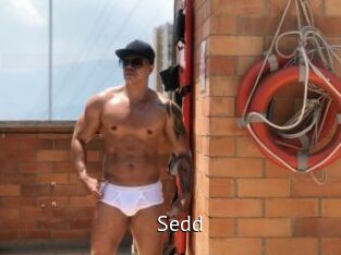 Sedd
