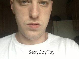 SexyBoyToy