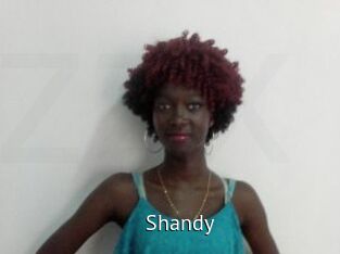 Shandy