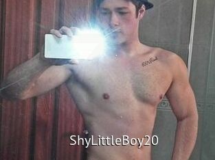 ShyLittleBoy20