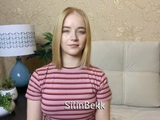 SilinBekk Zizi X