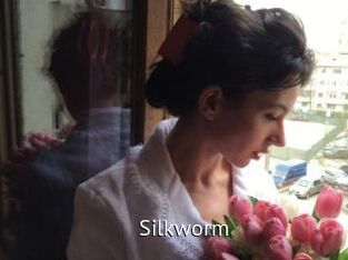 Silkworm