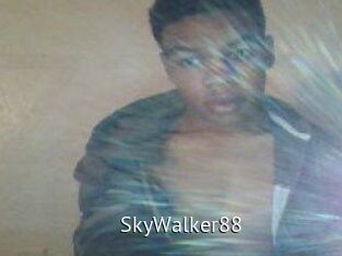 SkyWalker88