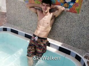 SkyWalkerr