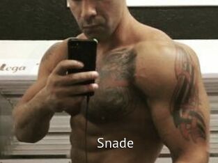 Snade