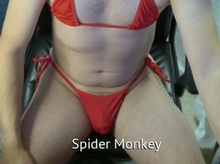 Spider_Monkey