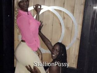 StallionPussy