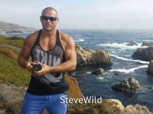 Steve_Wild