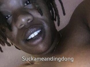 Suckameandingdong Zizi X