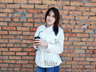 Tulip