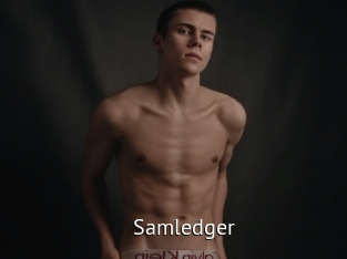 Samledger