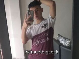 samuelbigcock Zizi X