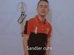 Sandler_cute