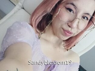 Sandyblossom19