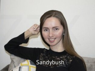 Sandybush