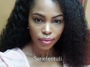 sanelentuli Zizi X