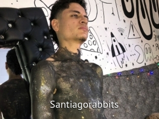 Santiagorabbits