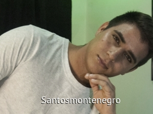 santosmontenegro Zizi X