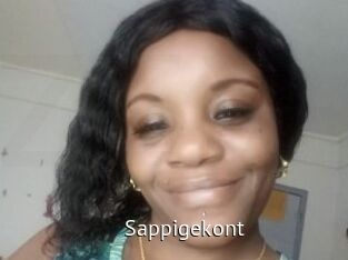 Sappigekont