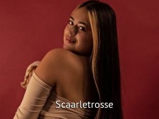 Scaarletrosse
